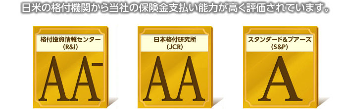 日米の格付機関から当社の保険金支払い能力が高く評価されています。