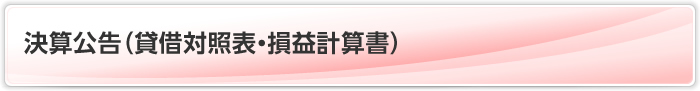 決算公告（貸借対照表・損益計算書）