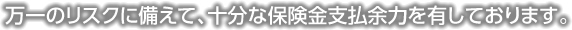 万一のリスクに備えて、十分な保険金支払余力を有しております。