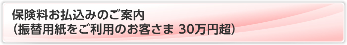 保険料お払込みのご案内（振替用紙をご利用のお客さま 30万円超）