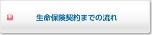 生命保険契約までの流れ