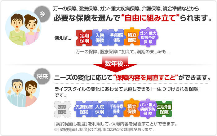 万一の保障、医療保障、ガン・重大疾病保障、介護保障、資金準備などから必要な保険を選んで「自由に組み立て」られます。