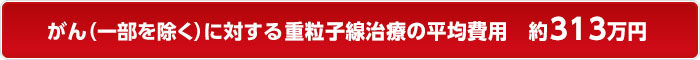 がん（一部を除く）に対する重粒子線治療の平均費用 約313万円