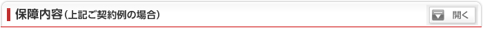 保障内容（上記ご契約例の場合）