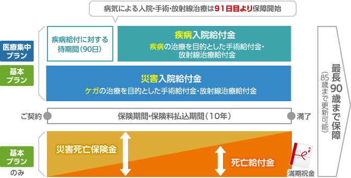 保険期間・保険料払込期間：10年