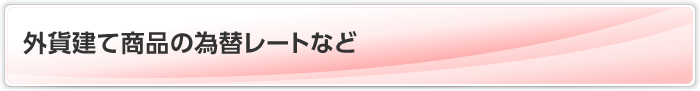 外貨建て商品の為替レートなど