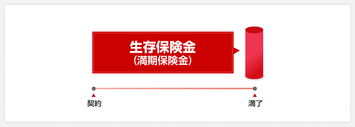 生存保険金（満期保険金）:契約してから一定期間が満了するまで被保険者が生存していた場合にのみ保険金が支払われます。