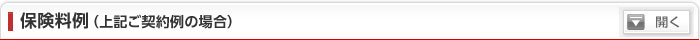 保険料例　（上記ご契約例の場合）