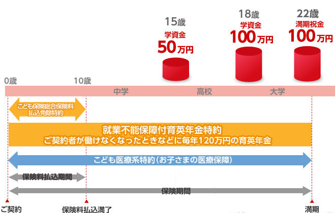 0歳～20歳までの払込みフロー図