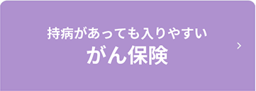 ���a�������Ă�����₷������ی�