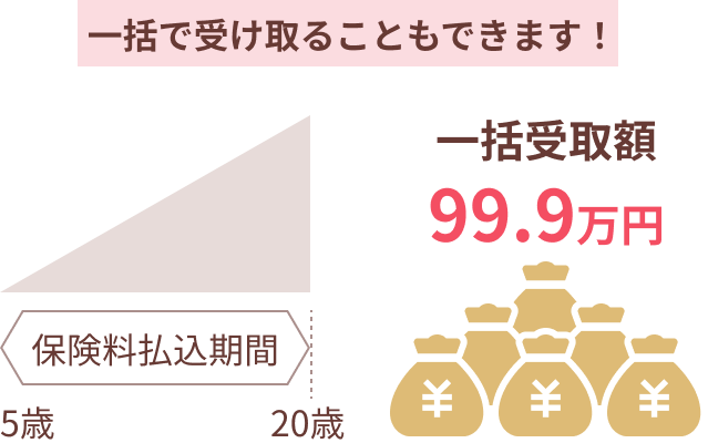 ی5΂20΁Bꊇōv99.9~󂯎B