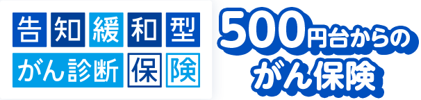 500�~�䂩��̂���ی�