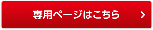 専用ページはこちら