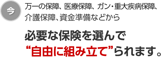 今　万一の保障、医療保障、ガン・重大疾病保障、介護保障、資金準備などから必要な保険を選んで「自由に組み立て」られます。