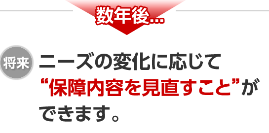 数年後...将来 ニーズの変化に応じて「保障内容を見直すこと」ができます。