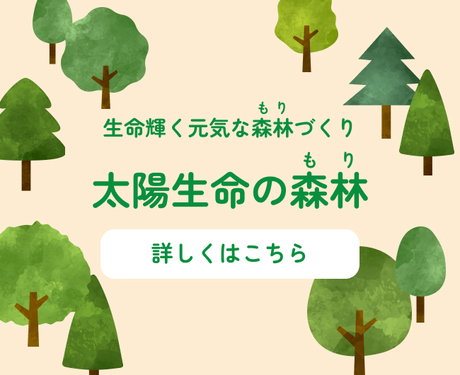いのち輝く元気な森林づくり 太陽生命の森林 詳しくはこちら
