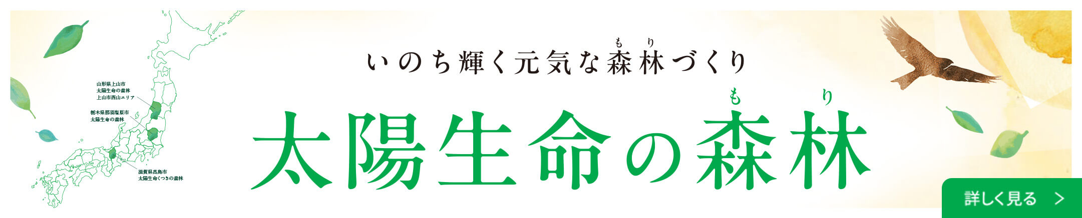 いのち輝く元気な森林づくり 太陽生命の森林