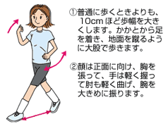 1日30分でOK!エクササイズ・ウォーキング