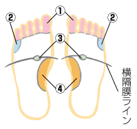 頭痛・めまい・耳鳴り・首こり・肩こりなどを軽減する！