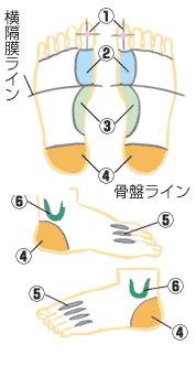 くらしの情報館 太陽生命保険