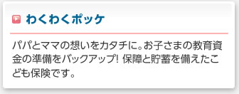 わくわくポッケ:パパとママの想いをカタチに。お子さまの教育資金の準備をバックアップ! 保障と貯蓄を備えたこども保険です。